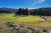 Meadow Club